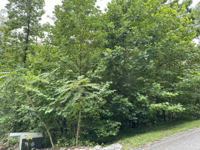 Lots 21 & 22 - photo 2