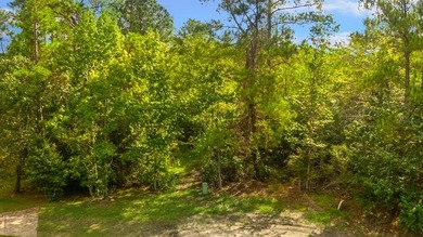 Lake Sam Rayburn  Lot For Sale in Brookeland Texas