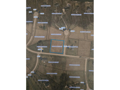 Lake Carroll Lot For Sale in Lake Carroll Illinois