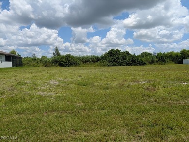 Prime NW Cape Coral Lot Located in the rapidly growing NW Cape - photo 7