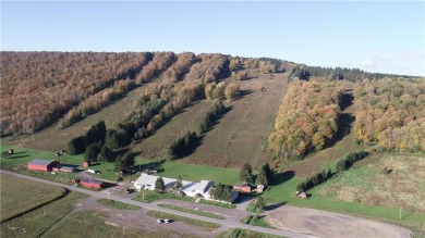 Lake Commercial For Sale in Fabius, New York