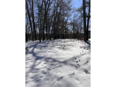 Lake Lot Sale Pending in Newaygo, Michigan