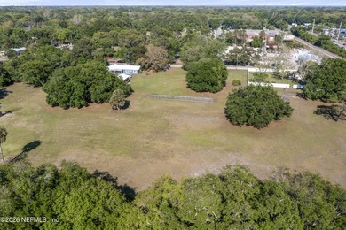 Discover the rare opportunity to own a full acre on Amelia - photo 21