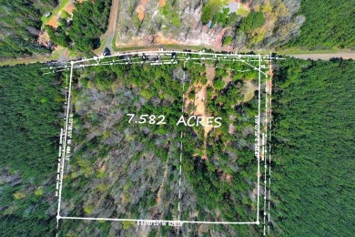 Toledo Bend Lake Acreage For Sale in Hemphill Texas