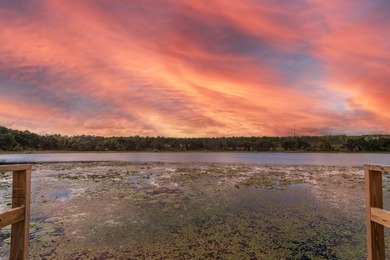 (private lake, pond, coastal) Home For Sale in Weirsdale Florida