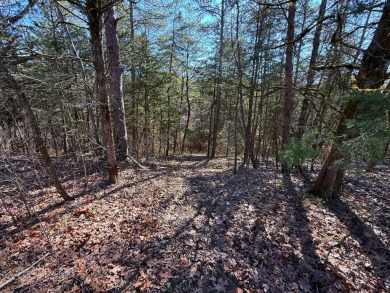 Lake Acreage For Sale in Dandridge, Tennessee