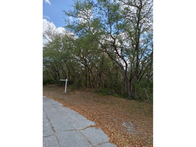 Lake Marion - Polk County Lot For Sale in Kissimmee Florida
