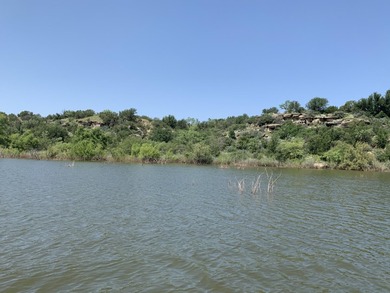 Lake Alan Henry Acreage For Sale in Snyder Texas
