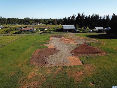 This prime 1 acre building lot with Olympic Mountain views and - photo 12