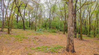 Beautiful lot located just off the golf course in the highly - photo 6