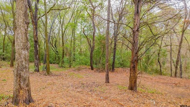 Beautiful lot located just off the golf course in the highly - photo 7