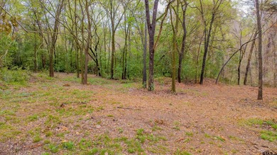 Beautiful lot located just off the golf course in the highly - photo 10
