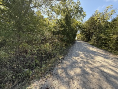 Lake Lot For Sale in Lampe, Missouri