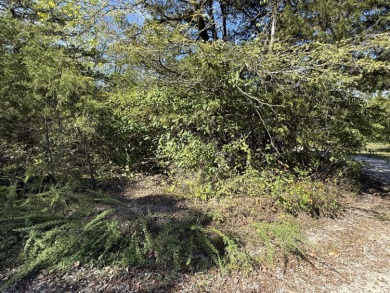 Lake Lot For Sale in Lampe, Missouri