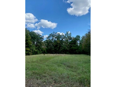 (private lake, pond, creek) Acreage For Sale in Lufkin Texas