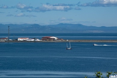 Perched on a high-bank overlooking the waterfront, this property - photo 22