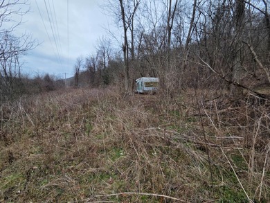 Ohio River Lot For Sale in Patriot Indiana