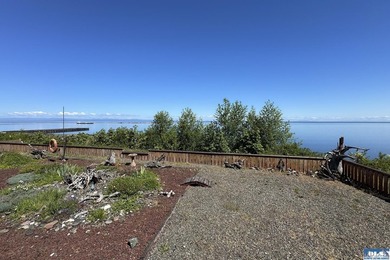Perched on a high-bank overlooking the waterfront, this property - photo 46