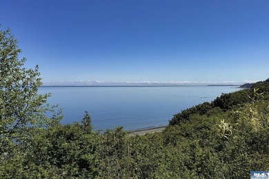 Perched on a high-bank overlooking the waterfront, this property - photo 47