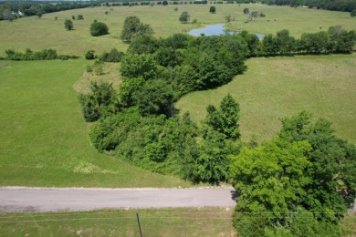 3 LOTS TOTALING 3.54 ACRES ACROSS THE STREET FROM LAKE FORK - photo 8
