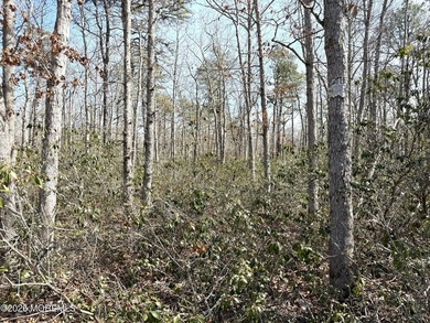 Build your dream home on this beautiful 20+ acre parcel ideally - photo 6