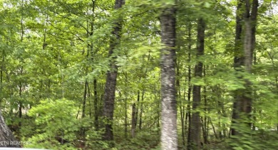 Lake Lot For Sale in Crossville, Tennessee