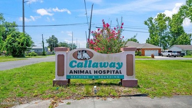 For Sale: Established Veterinary Clinic with Endless Potential - photo 5