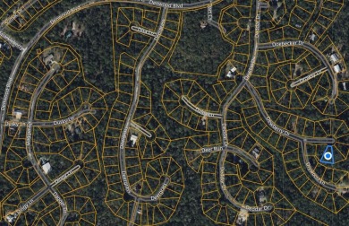 Lake Sam Rayburn  Lot For Sale in Brookeland Texas