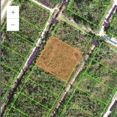 Lake Weohyakapka Lot For Sale in Indian Lake Estates Florida