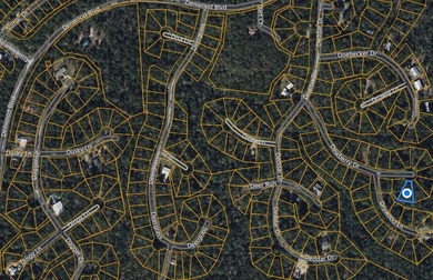 Lake Sam Rayburn  Lot For Sale in Brookeland Texas