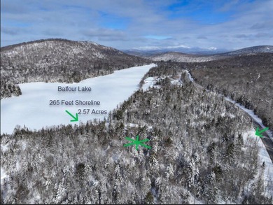 (private lake, pond, coastal) Acreage For Sale in Minerva New York