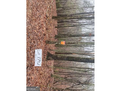 Coosawattee River - Gilmer County Lot For Sale in East Ellijay Georgia
