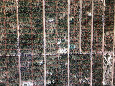 Bonable Lake Lot For Sale in Dunnellon Florida