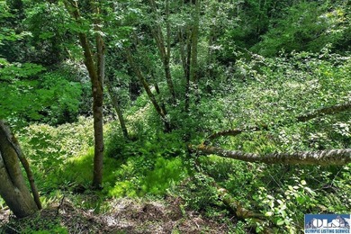 Creekside Property with Multiple Utilities & Improvements. Rare - photo 15