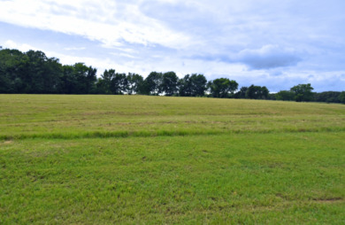3 LOTS TOTALING 3.54 ACRES ACROSS THE STREET FROM LAKE FORK - photo 13