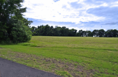 3 LOTS TOTALING 3.54 ACRES ACROSS THE STREET FROM LAKE FORK - photo 9