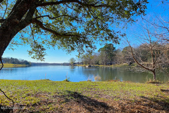 Lake Mannsdale Acreage Sale Pending in Madison Mississippi