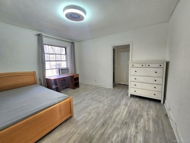 Bright, Large Studio with Renovated Kitchen and Bath and New - photo 3