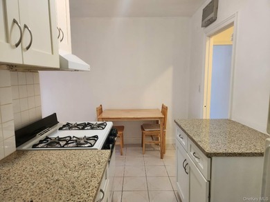 Bright, Large Studio with Renovated Kitchen and Bath and New - photo 10