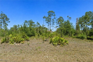 Lehigh Acres Area Lot Sale Pending in Lehigh Acres Florida