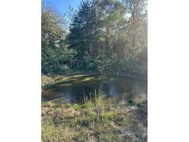 (private lake, pond, creek) Acreage For Sale in Mountain Grove Missouri