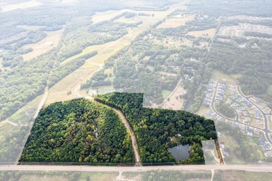 (private lake, pond, creek) Acreage For Sale in Lakeland Tennessee