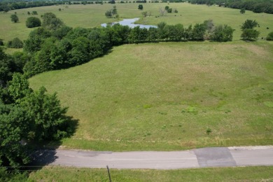 3 LOTS TOTALING 3.54 ACRES ACROSS THE STREET FROM LAKE FORK - photo 10