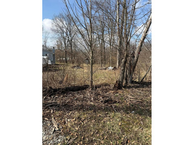 Buckeye Lake Lot For Sale in Thornville Ohio