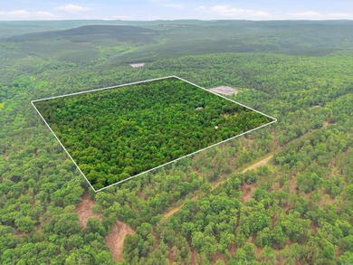 Tucked away in the Ozarks on 40 breathtaking acres, this - photo 39