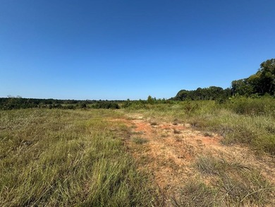 Lake Sam Rayburn  Acreage For Sale in Brookeland Texas