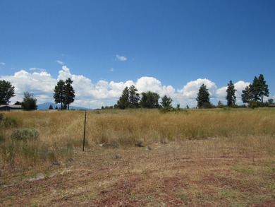Agency Lake Lot For Sale in Chiloquin Oregon