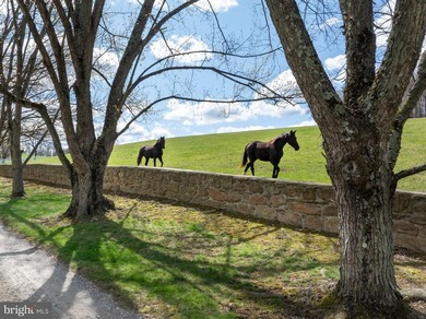 An incomparable equestrian estate unfolds across 9981 & 10215 - photo 7