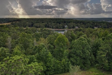 Lake Lot For Sale in Jasper, Alabama