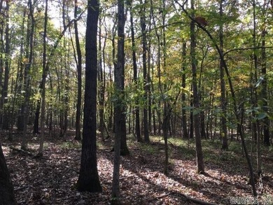 (private lake, pond, creek) Acreage For Sale in Mena Arkansas